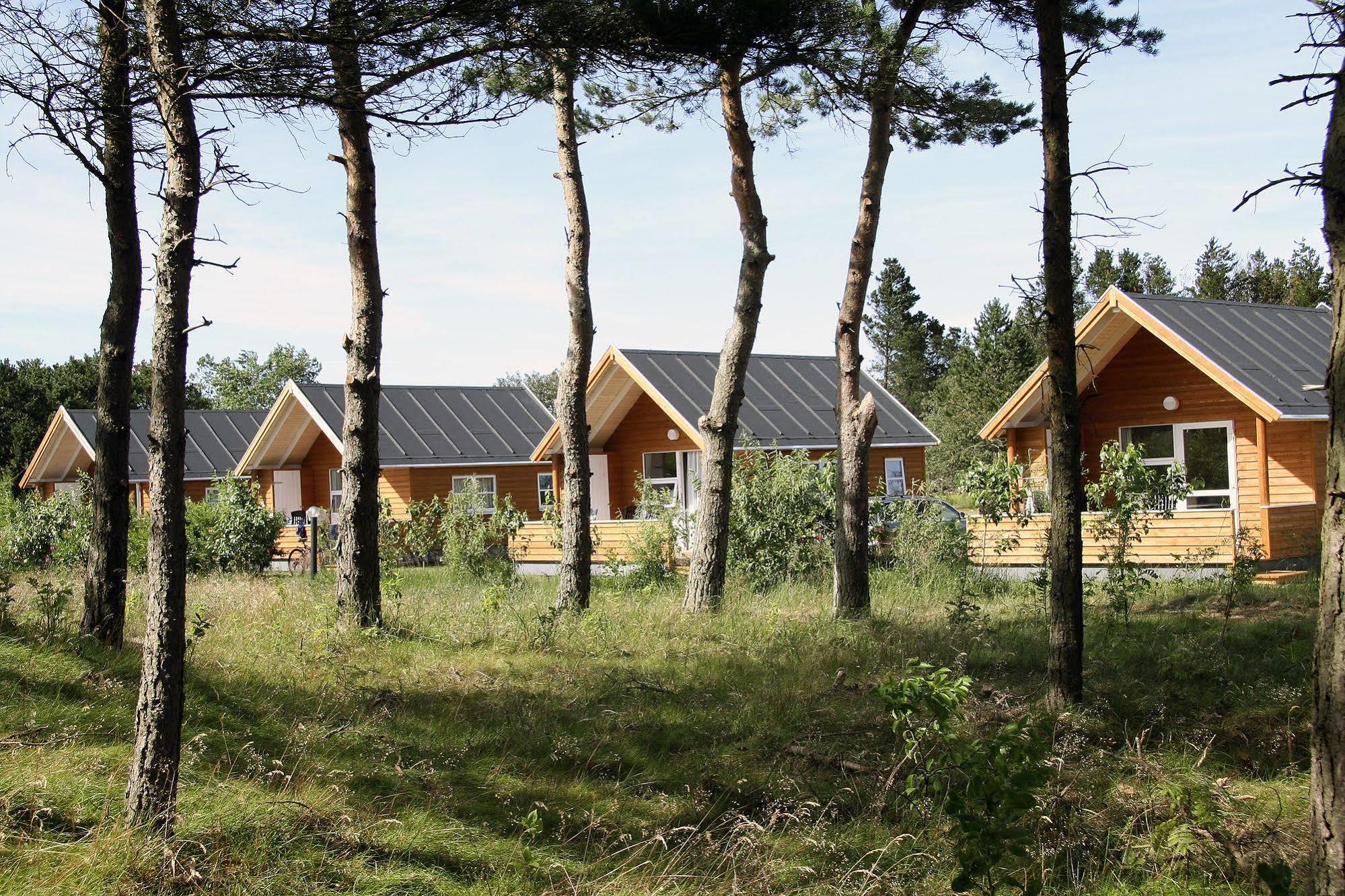 First Camp Rabjerg Mile - Skagen Hotel Kültér fotó